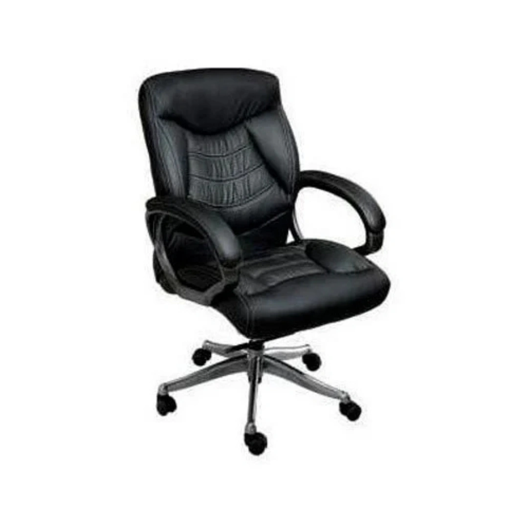 Low Back Director Chair
