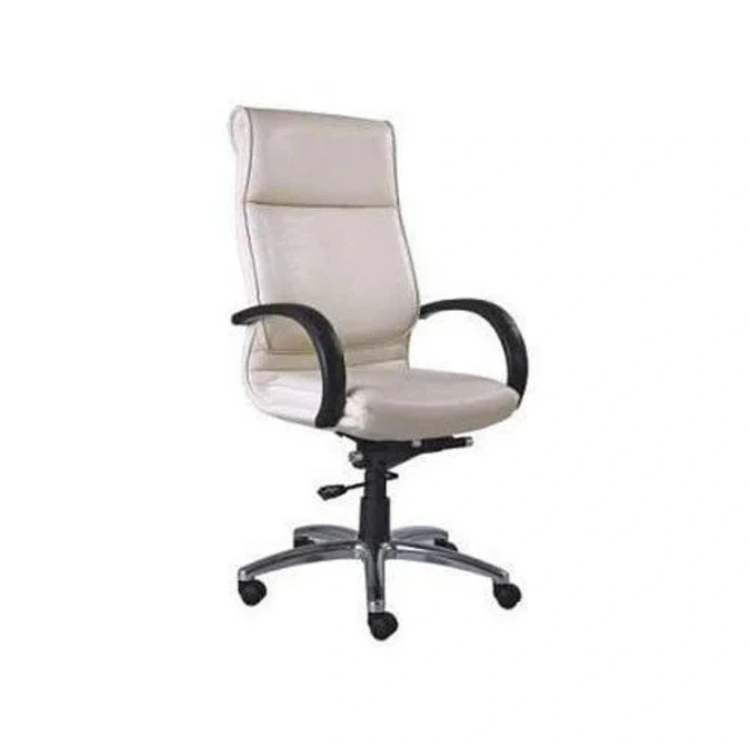 Black And White Director Chair